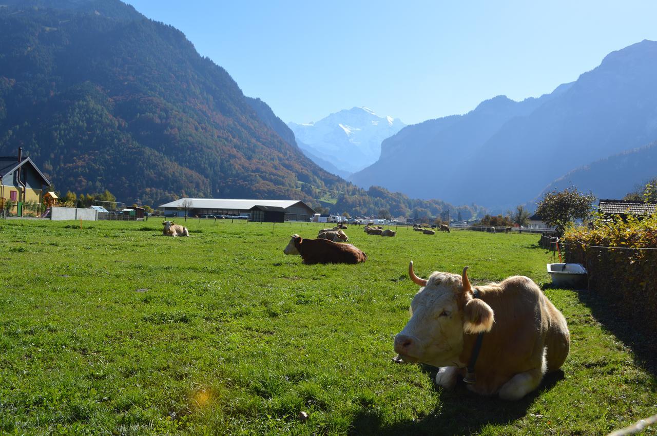 Jungfrau Family Holiday Home Matten bei Interlaken Exterior foto